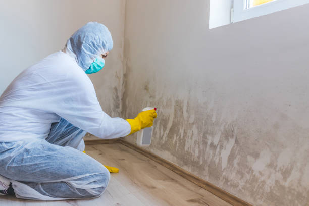 Bathroom Mold Removal assessment in Clermont bathroom