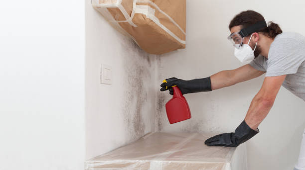 Attic Mold Remediation treatment on roof deck in Clermont